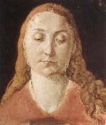 Albrecht Durer Portrait of a woman with Loose Hair oil painting artist